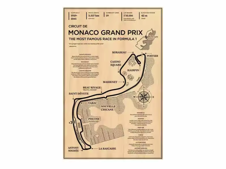 Formula Racer Aesthetic Poster (Unframed)
